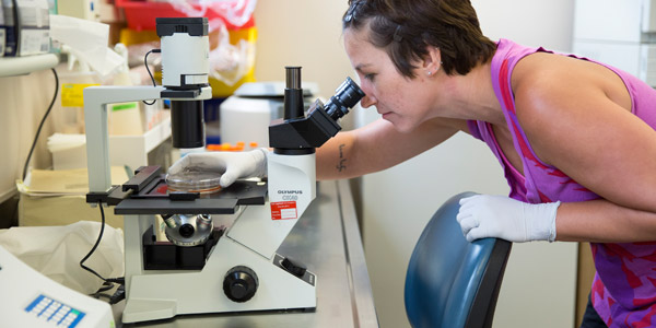 Female student looking into a microscope in a science lab